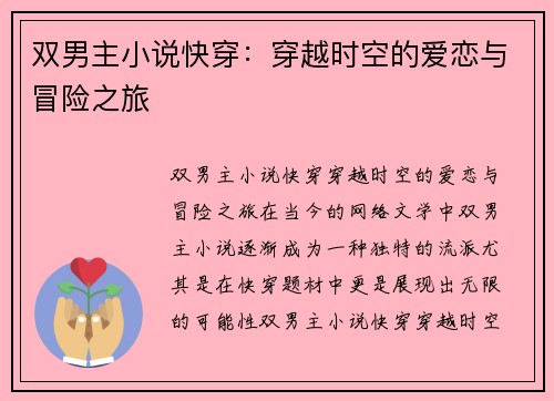 双男主小说快穿：穿越时空的爱恋与冒险之旅