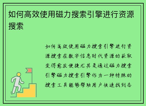 如何高效使用磁力搜索引擎进行资源搜索